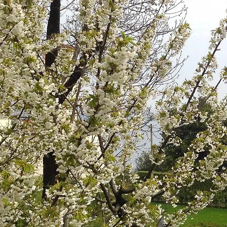Lägenhet Rubino Con Giardino E Jacuzzi Vista *