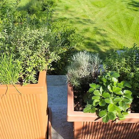 Apartamento Rubino Con Giardino E Jacuzzi Vista Stresa