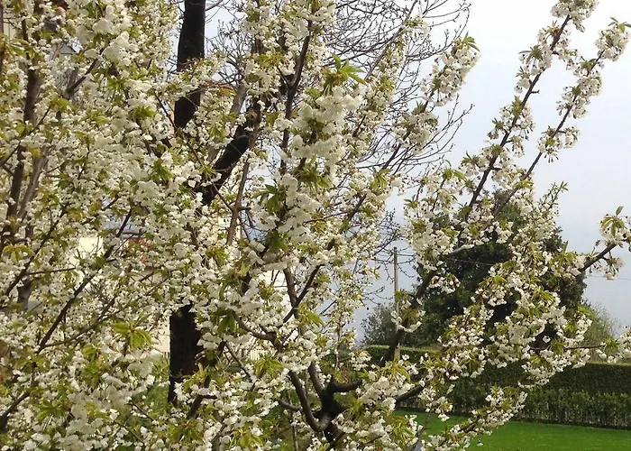 Lägenhet Rubino Con Giardino E Jacuzzi Vista *